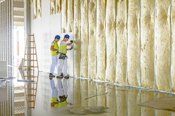 Best Blown-In Insulation  in Peekskill, NY